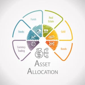 Asset Allocation Wealth Management Investment Option Infographic